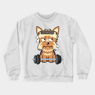 Funny yorkshire terrier is exercising Crewneck Sweatshirt